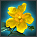 image:Forest4.png